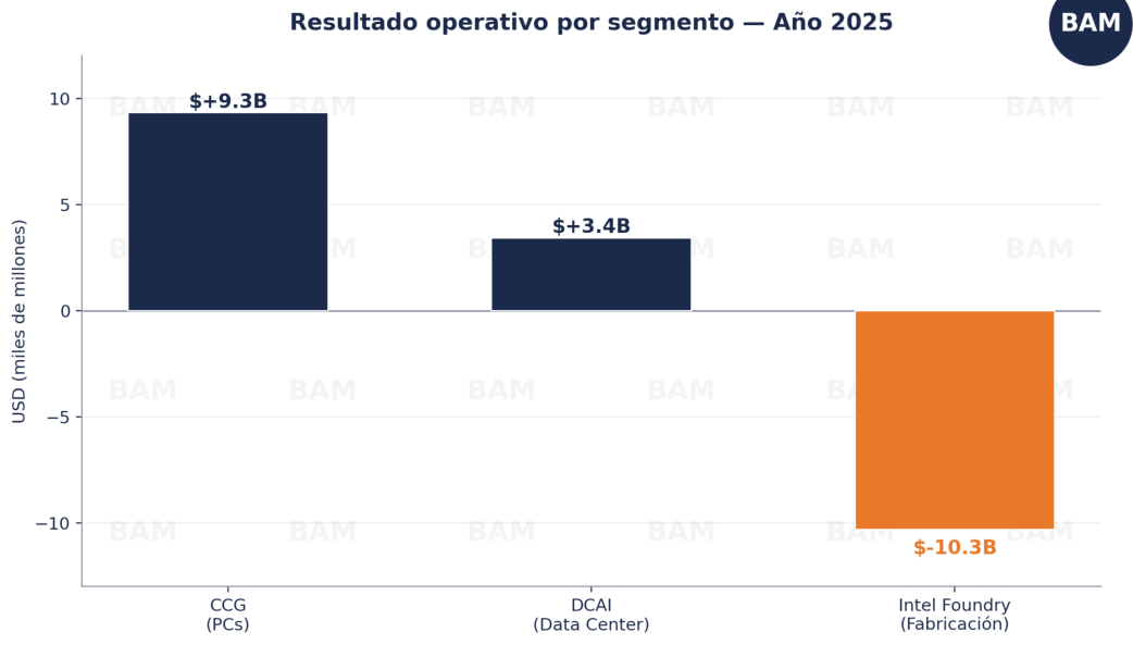 Resultado operativo por segmento — Año 2025